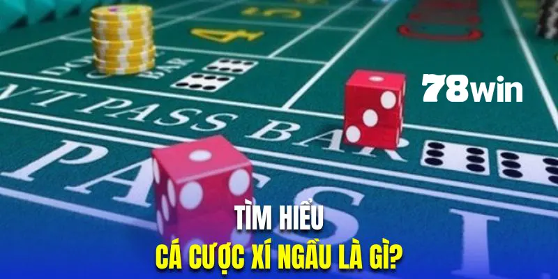 Cách Chơi Xí Ngầu Luôn Thắng Theo Chuyên Gia Mới Nhất 2024 4 Tìm hiểu về cá cược trong trò chơi Xí Ngầu